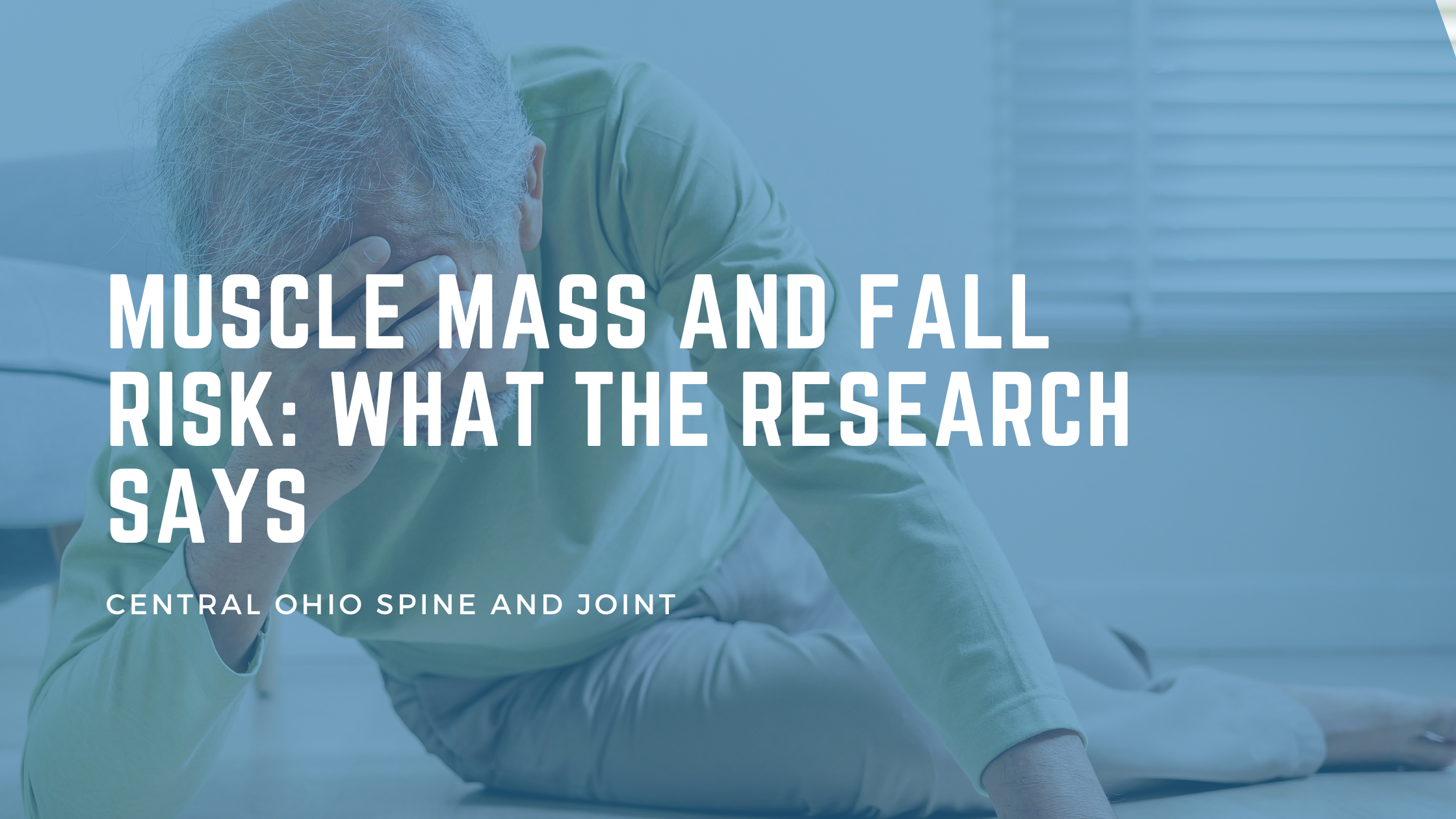 Muscle Mass and Fall Risk: What the Research Says